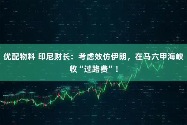 优配物料 印尼财长：考虑效仿伊朗，在马六甲海峡收“过路费”！
